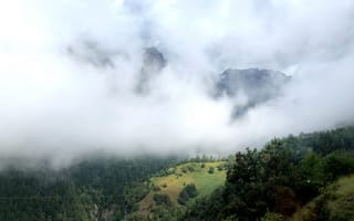 Картинка холм, горы, деревья