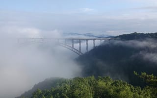 Картинка мост, туман, деревья