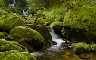 Картинка камни, мох, зелень