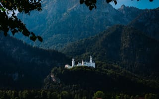 Картинка замок, деревья, лес