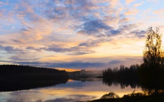 Картинка озеро, деревья, лес