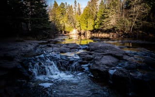 Картинка река, деревья, лес