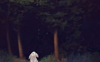 Картинка кролик, лес, темный