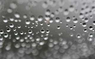 Картинка паутина, капли, блики