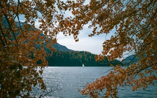 Обои озеро, лодка, деревья