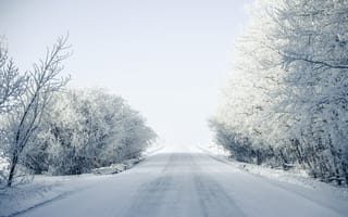 Обои дорога, деревья, снег