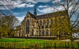 Картинка собор, архитектура, деревья