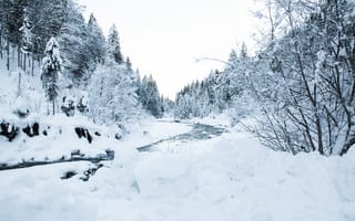 Обои река, деревья, снег