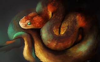 Картинка змея, рептилия, арт