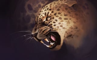 Картинка леопард, оскал, агрессия