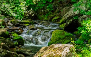Картинка ручей, камни, мох