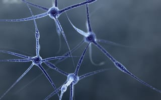 Обои нейрон, структура, форма