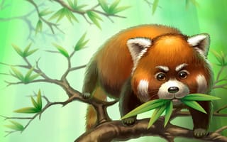 Картинка малая панда, ветки, листья