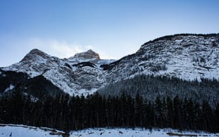 Картинка вершины, заснеженный, лес