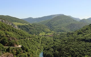 Картинка лес, холмы, деревья