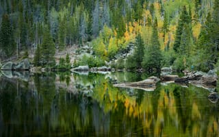 Обои лес, озеро, отражение