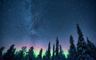 Картинка северное сияние, звездное небо, деревья
