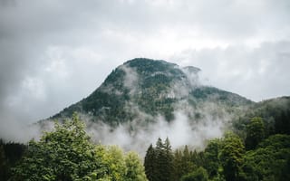 Картинка горы, туман, лес