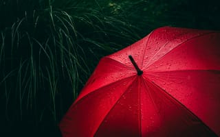 Картинка зонт, трава, капли