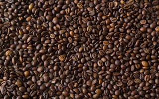 Картинка кофейные зерна, кофе, коричневый