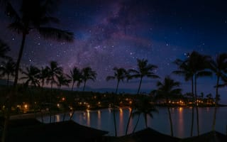 Картинка пальмы, побережье, ночь