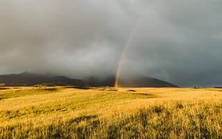 Картинка радуга, туман, трава