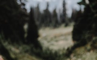 Картинка бурундук, грызун, пушистый