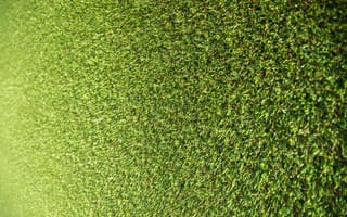 Картинка трава, стадион, зеленый