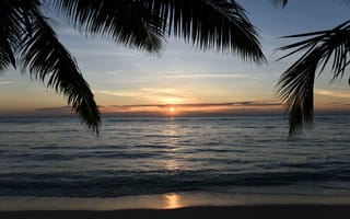 Картинка закат, пальмы, море