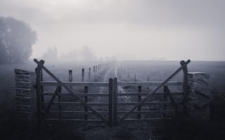 Обои забор, туман, трава