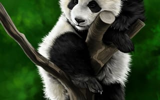 Картинка панда, животное, ветка