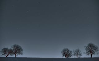 Картинка деревья, горизонт, ночь
