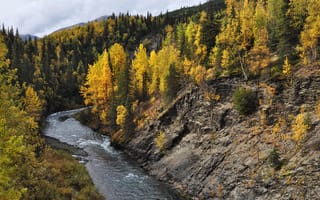 Обои река, деревья, осень