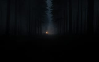 Обои лес, туман, темнота