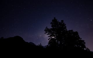 Картинка ночь, звездное небо, деревья