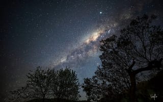 Картинка туманность, звезды, деревья
