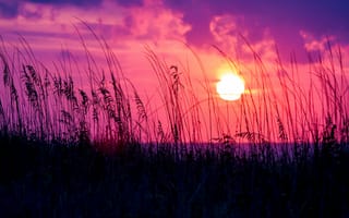 Картинка закат, трава, солнце