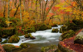 Картинка река, поток, осень