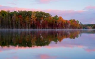 Картинка деревья, осень, озеро
