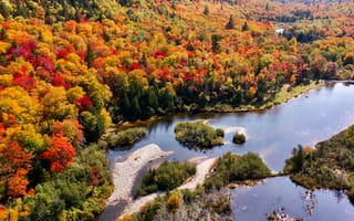 Картинка река, лес, осень