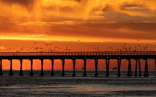 Картинка мост, закат, птицы