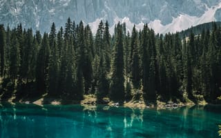 Обои озеро, деревья, горы