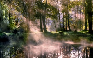 Картинка озеро, деревья, туман