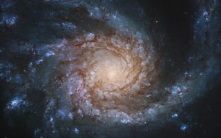 Картинка ngc 4254, галактика, спираль