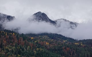 Обои гора, лес, облака