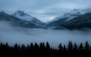 Картинка горы, туман, деревья