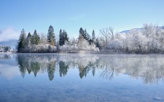 Картинка озеро, деревья, снег