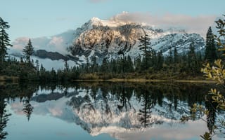 Картинка гора, озеро, деревья