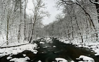 Картинка река, снег, деревья
