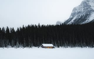 Обои дом, снег, деревья